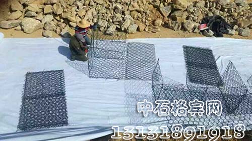 zsshilong121.jpg zsshilong121.jpg