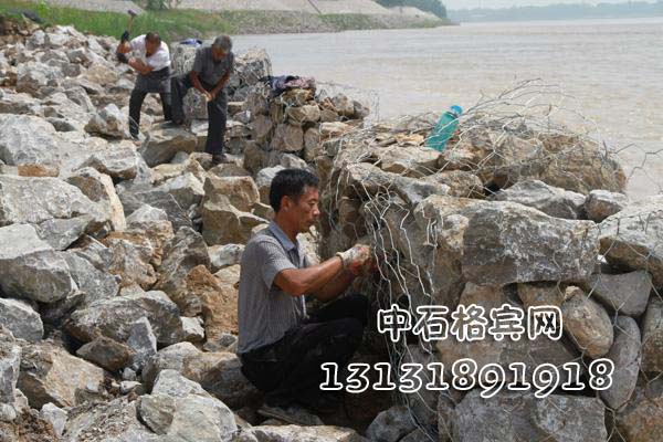 防洪固濱籠價(jià)格咨詢(xún)13131891918(微信同號(hào)) 防洪固濱籠價(jià)格咨詢(xún)13131891918(微信同號(hào))